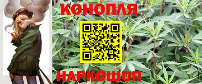 марки nbome Гусев