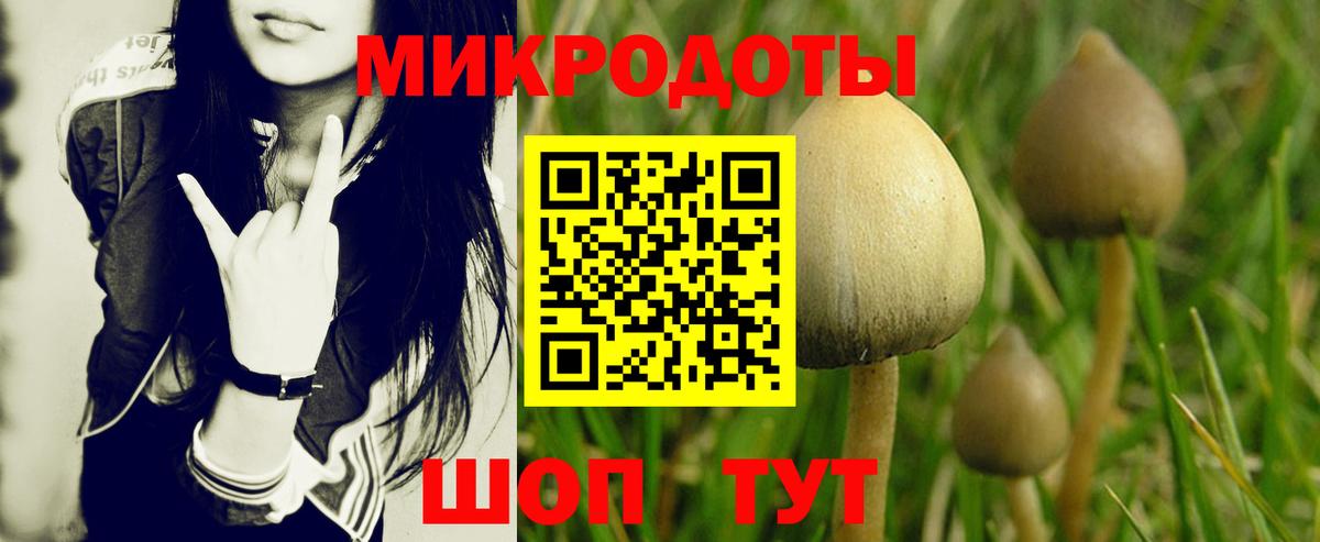 Моздок  Псилоцибиновые грибы мухоморы  Вход с VPN 